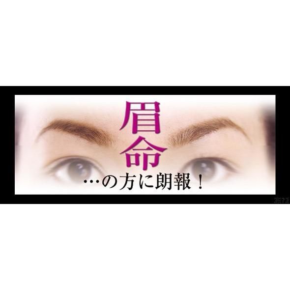 アイブロウ 眉ペン ペンシル 落ちない 眉毛 タトゥー 消えない ウォータープルーフ 落ちにくい 天然染料 ヘナ ペンタイプ 自宅｜vivian87｜07