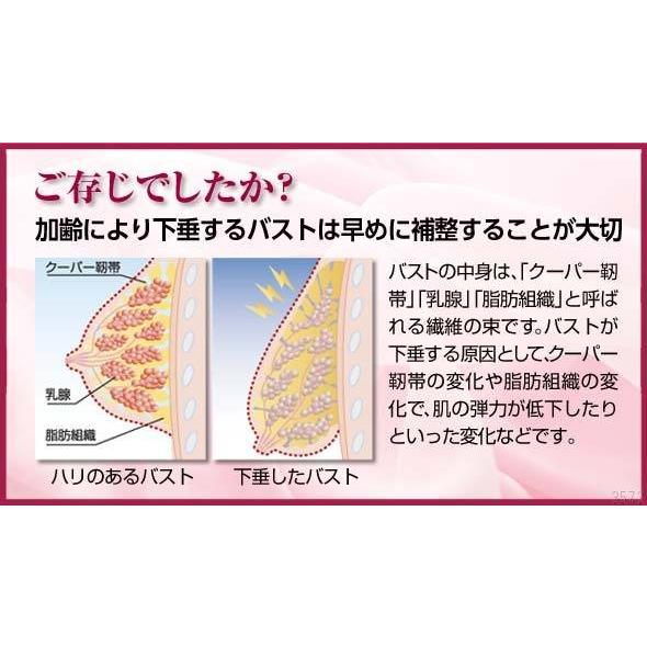 ブラキャミソール ブラキャミ キャミソール カップ付き ブラトップ 土井千鶴 姿勢 垂れ乳 背中肉 スッキリ 美胸体型 吸水速乾 Dr 0070 1606 ヴィヴィアン ネオ 通販 Yahoo ショッピング