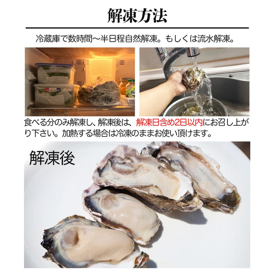 生牡蠣_mania 鳥取県産】天然岩牡蠣 夏輝(ラベル無) 小サイズ（1個/250g～350g