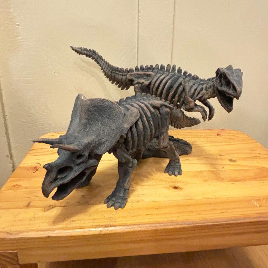 ボディスカル ティラノサウルス トリケラトプス 恐竜の化石オブジェ