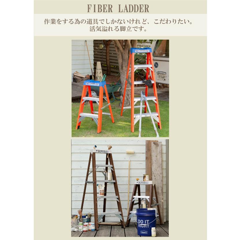 DULTON（ダルトン） 送料無料 Y-0604-5 Y-0604 送料無料 FIBER LADDER
