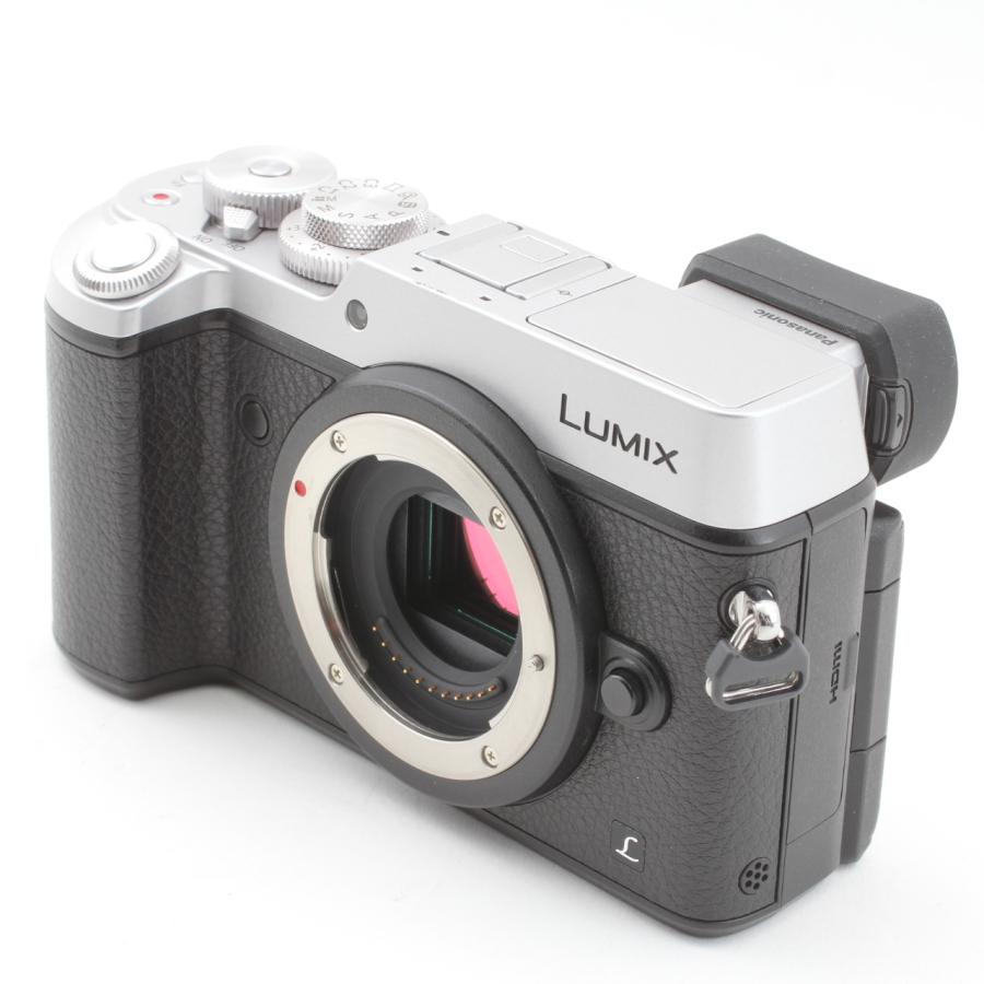 ショット数2119 パナソニック ルミックス GX8 ボディ DMC-GX8 LUMIX 【ショット数5238枚】パナソニック GX8 ボディ DMC-GX8-S : 千石