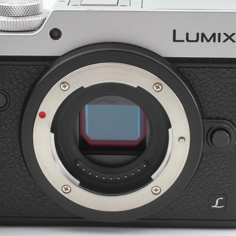 LUMIX 【ショット数5238枚】パナソニック GX8 ボディ DMC-GX8-S : 千石