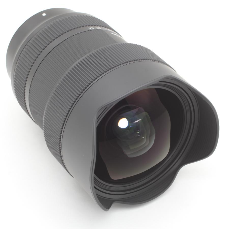 Art（シグマ） Sigma シグマ 14-24mm F2.8 DG DN Leica ライカ L