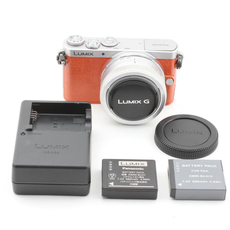 LUMIX Gシリーズ 【ショット数5,631枚】パナソニック DMC-GM1K-D