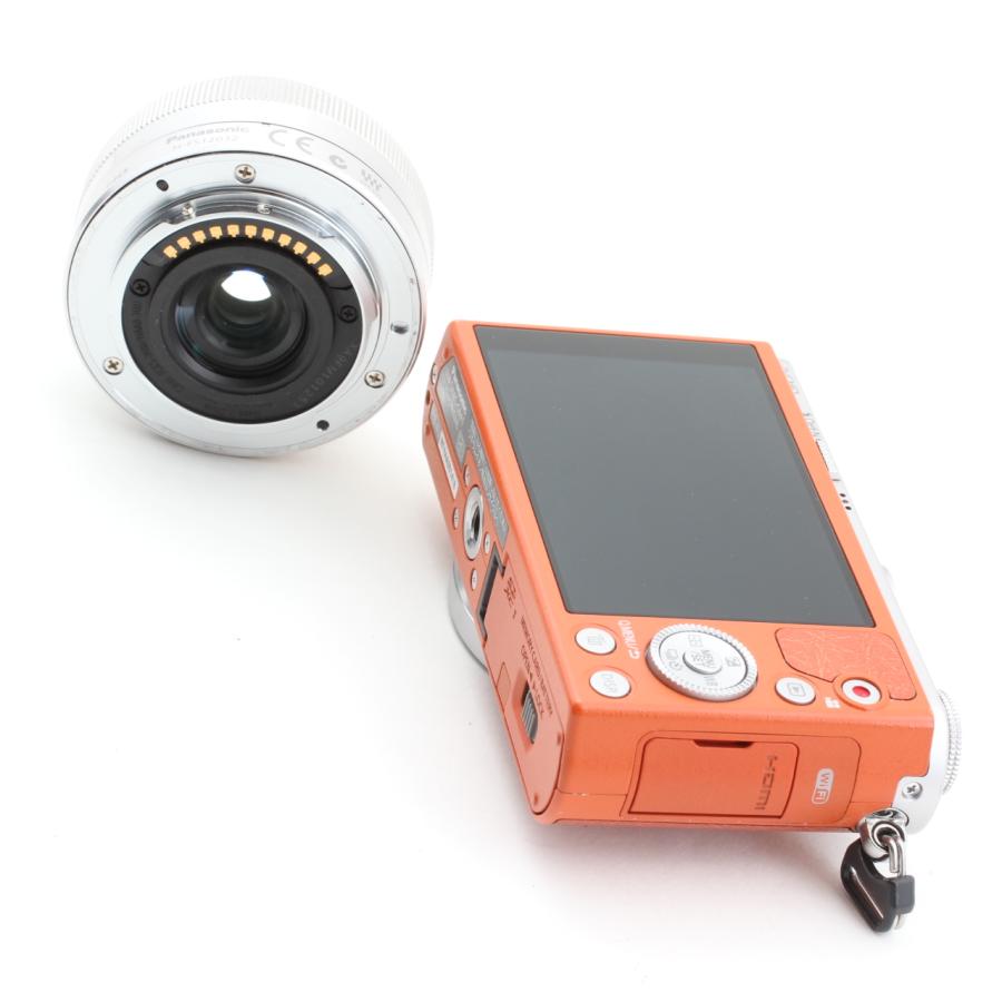 LUMIX Gシリーズ 【ショット数5,631枚】パナソニック DMC-GM1K-D