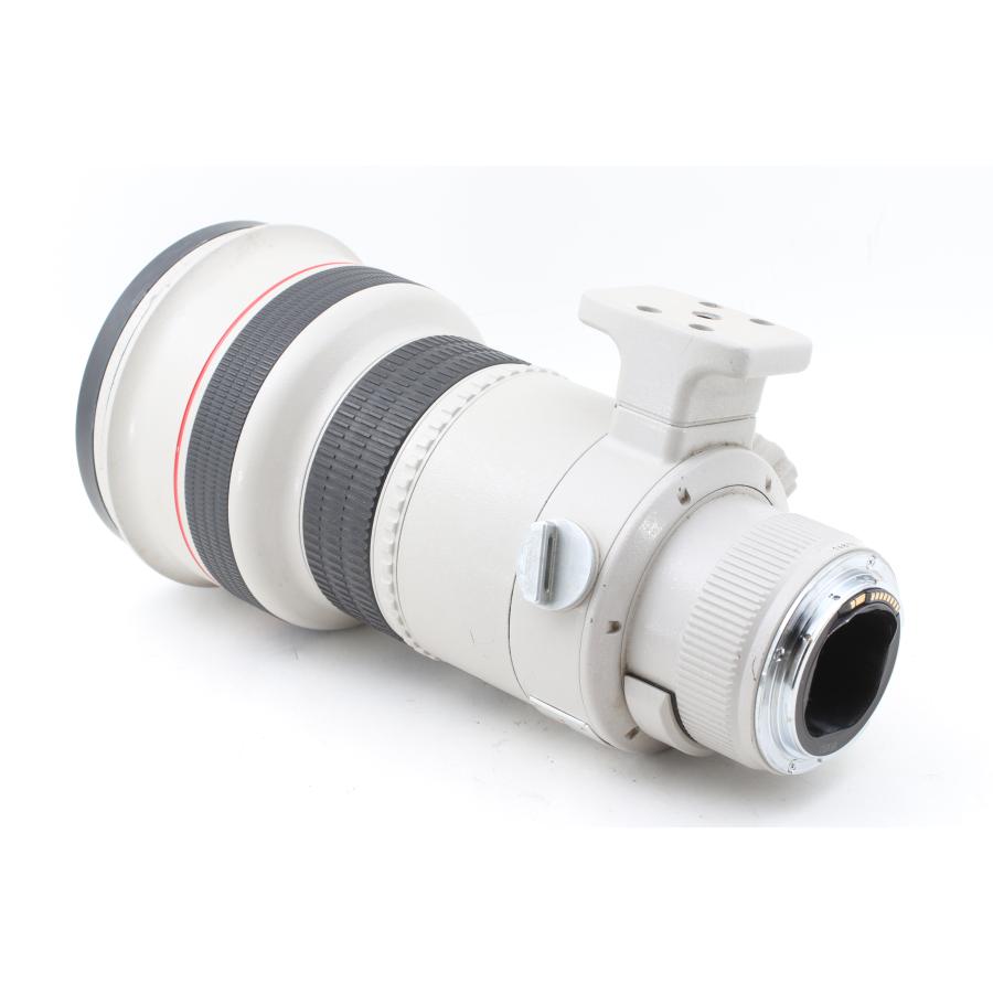 キャノン LENS EF 300mm 1:2.8 L ウルトラソニック レンズ Amazon.com : Canon 300mm F2.8 L is II USM EF Lens : Camera Lenses