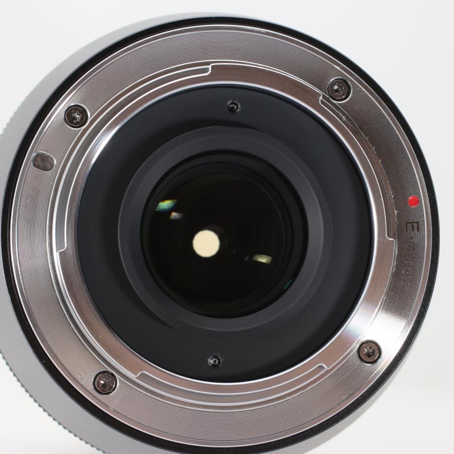 SIRUI SIRUI 75mm アナモルフィックレンズ F1.8 1.33X (ソニーE