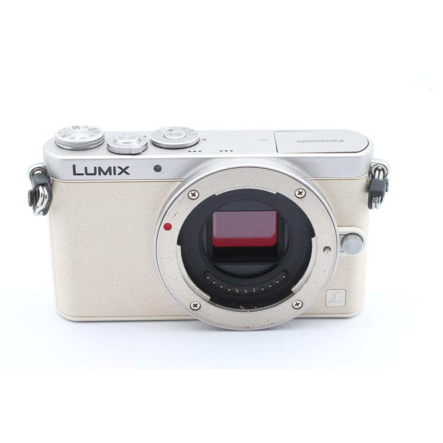LUMIX 【ショット数 3,397枚】パナソニック DMC-GM1 ジャンク : 千石