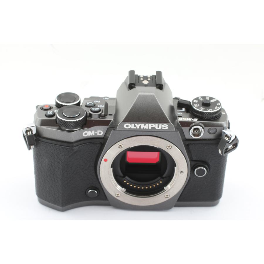 OM-D オリンパス E-M5 Mark II Limited Edition : 千石カメラYahoo!店