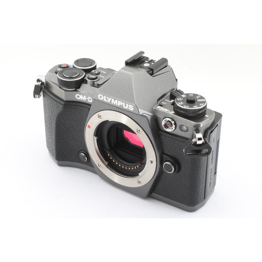 OM-D オリンパス E-M5 Mark II Limited Edition : 千石カメラYahoo!店