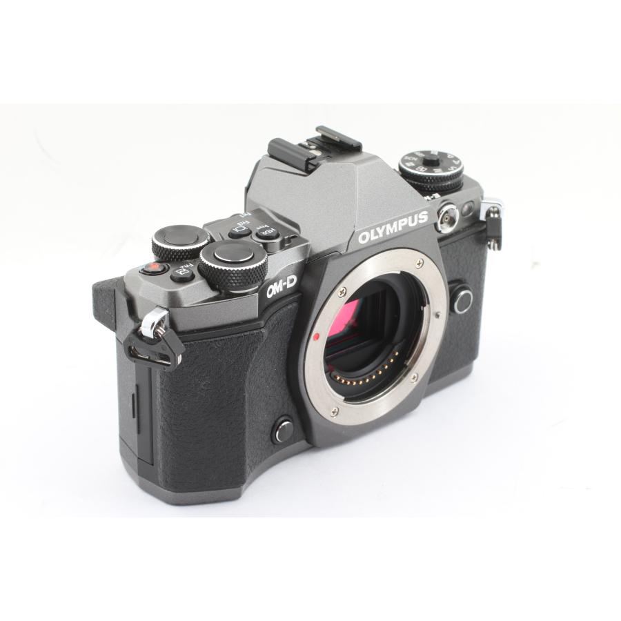 OM-D オリンパス E-M5 Mark II Limited Edition : 千石カメラYahoo!店