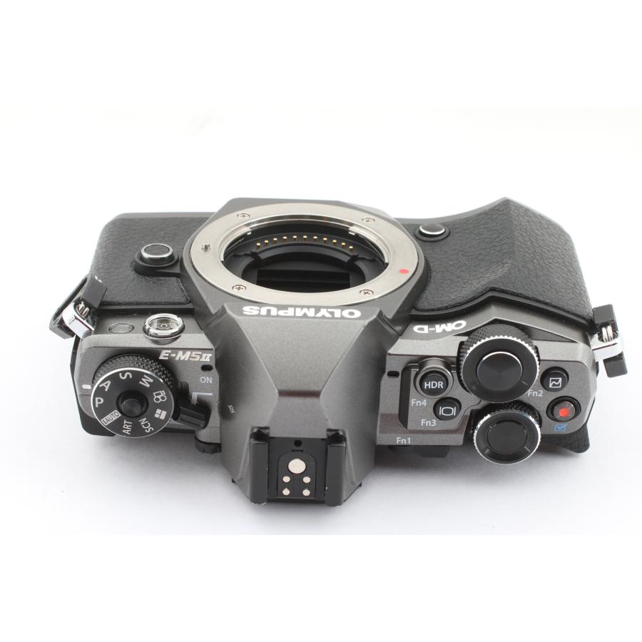 OM-D オリンパス E-M5 Mark II Limited Edition : 千石カメラYahoo!店