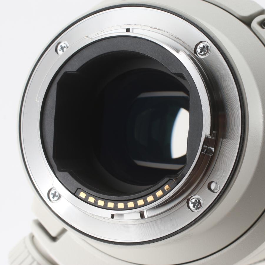 SONY ソニー FE 70-20mm F4 Macro G OSSII SEL70200G2 | SONY | 05