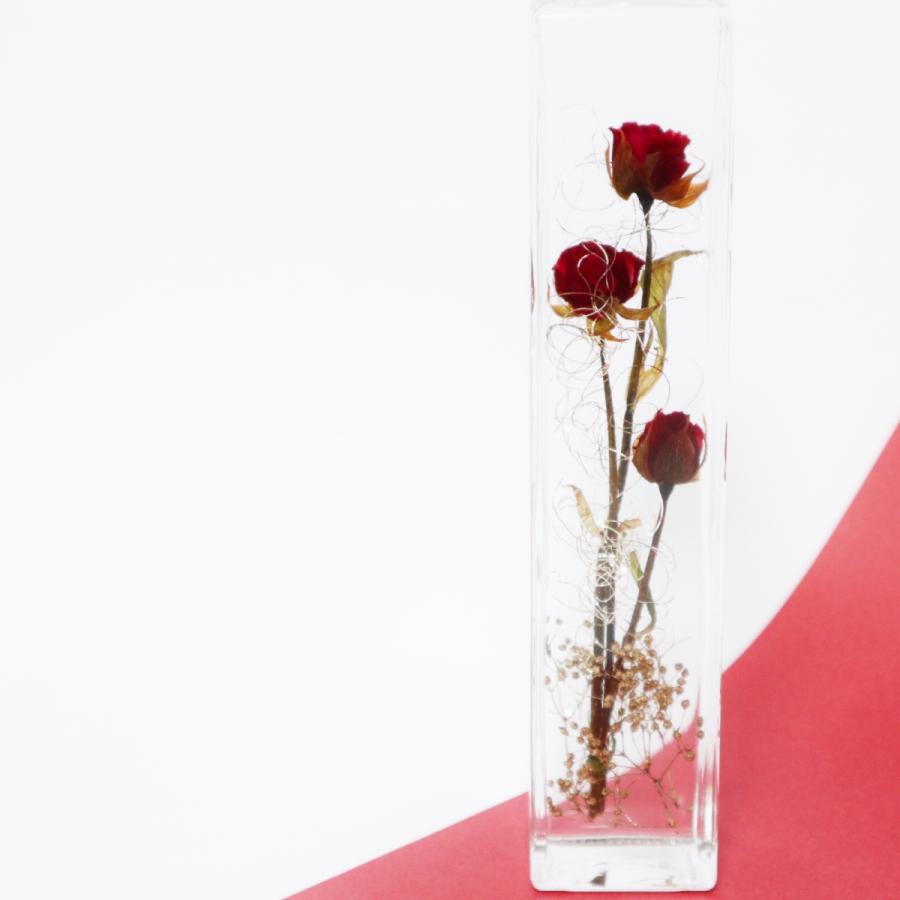 ハーバリウム ハーバリウム バラ ボルドー 母の日 ギフト プリザーブドフラワー 花 Vivid 17 Vivid ヤフーショップ 通販 Yahoo ショッピング