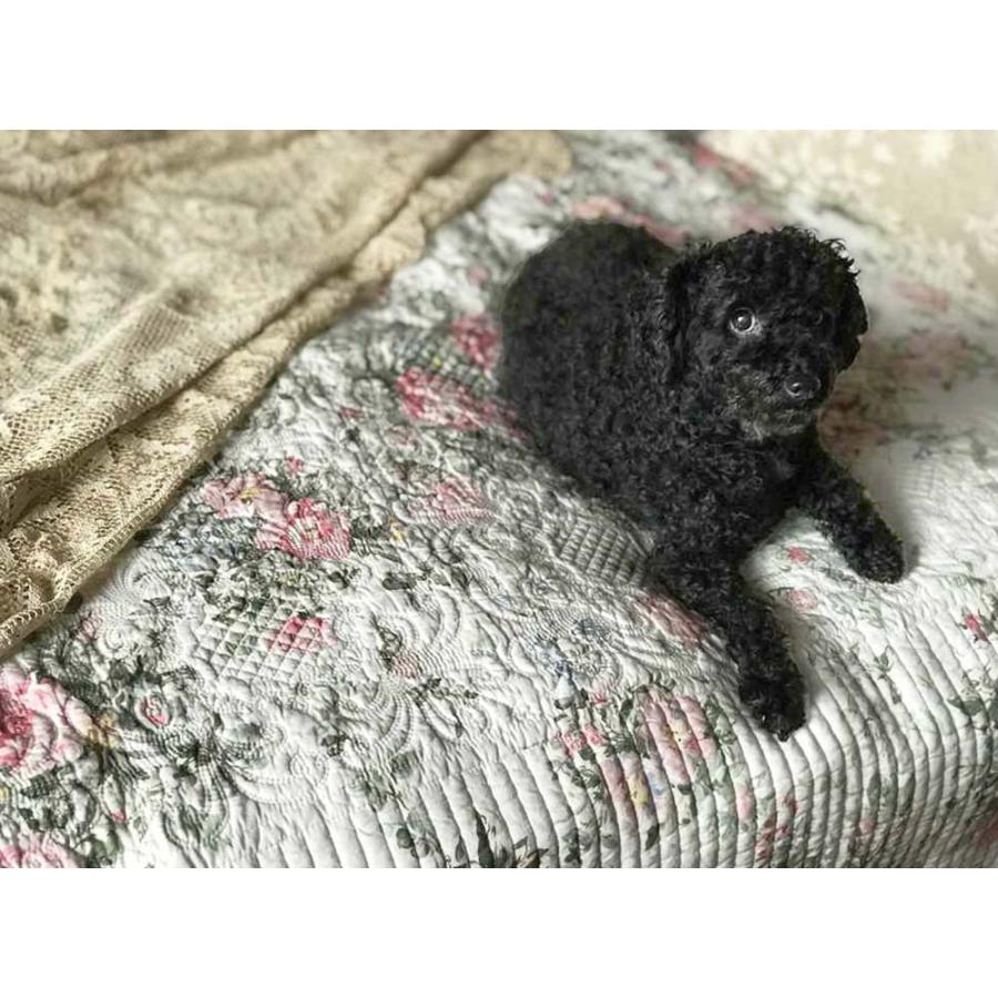 champs de fleurs ローズキルト マルチカバー 200x250cm おしゃれ 可愛い リバーシブル_2