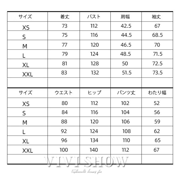 スノーボードウェア スキーウェア レディース メンズ 上下セット