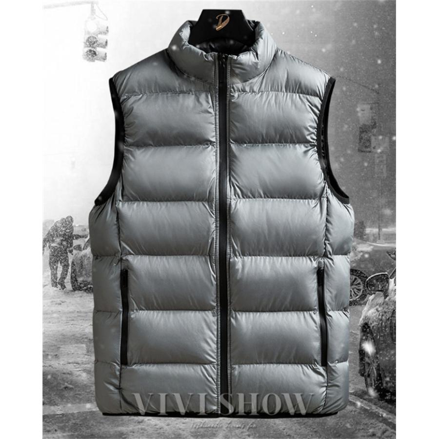 ダウンベスト メンズ 大きいサイズ 中綿ベスト ベスト シンプル 秋 冬