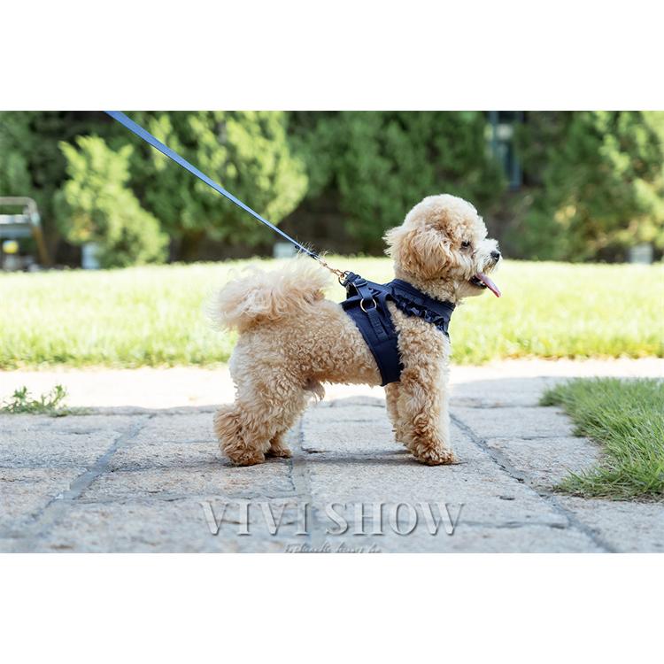 犬用 ハーネス リード セット フリル リード付き 小型犬 小型 子犬