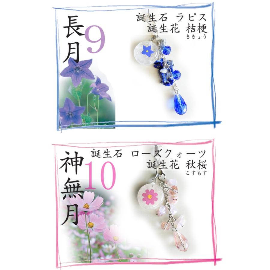 誕生花誕生石 壁紙画像マンガ