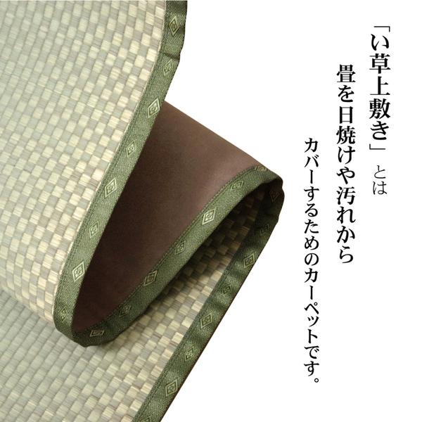 い草 上敷き/ラグマット 〔本間4.5畳 約286.5×286cm〕 日本製 ウレタン 抗菌 防臭 消臭 調湿 空気清浄 業務用 まとめ買い ポイント消化 日用品_2