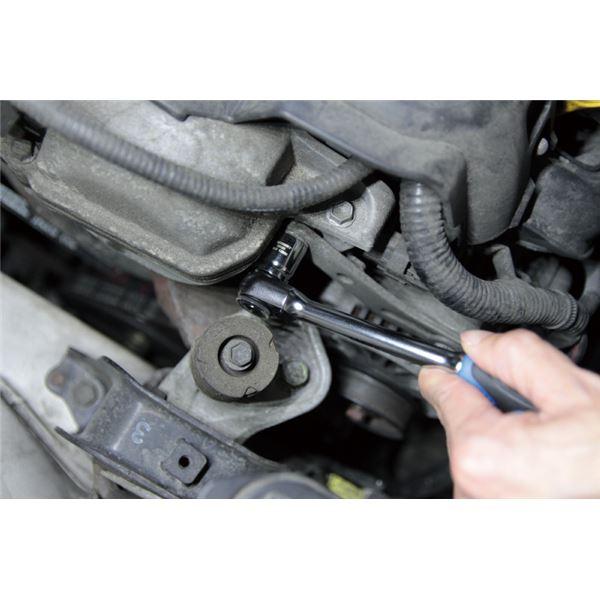 SIGNET シグネット 12134 3/8DR 19PC ショートソケットセット 6角 工具 ツール DIY 作業工具 道具 ソケット まとめ買い ポイント消化 スポーツ用品_2
