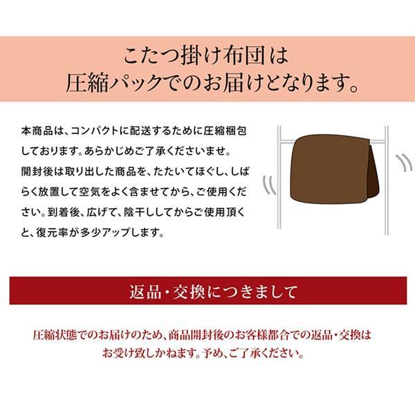 ノース調 こたつ布団 〔ギャッベ柄 大 赤銅色 約205×285糎〕 矩形 洗える 東レ マッシュロン綿 〔リビング〕爆買
