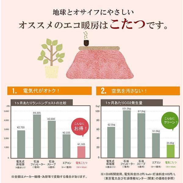 ノース調 こたつ布団 〔ギャッベ柄 大 赤銅色 約205×285糎〕 矩形 洗える 東レ マッシュロン綿 〔リビング〕爆買