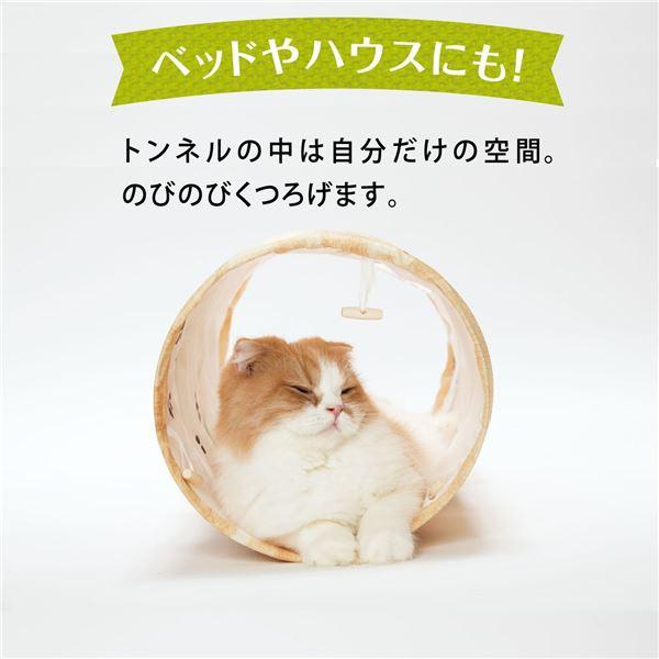 （まとめ）キャットトンネルスパイラル 木目柄（ペット用品）〔&times;12セット〕爆買