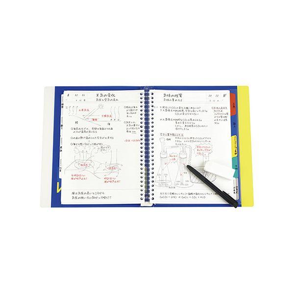 (まとめ) マルマン ラミネートタブ Wインデックス B5 26穴 5山×2組〔×50セット〕 業務用 まとめ買い 爆買 ポイント消化 日用品_1