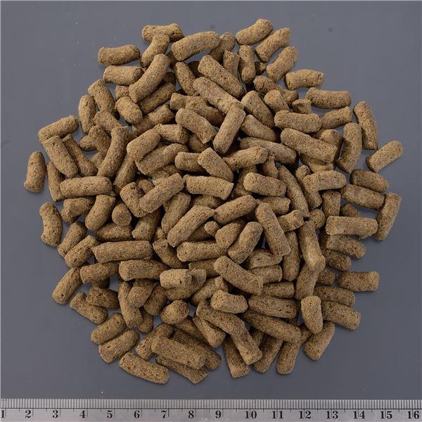 (まとめ) トカゲブレンドフード 200g (愛玩動物装具) 〔×5仕かける〕 まとめ買い お取り寄せ 尖んがり消化 余暇活動