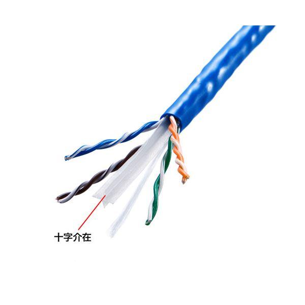 サンワサプライ CAT6UTP単線ケーブルのみ100m KB-C6L-CB100BLN まとめ買い ポイント消化 PC周辺機器_2