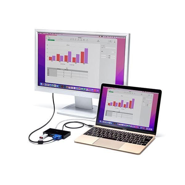 サンワサプライ VGA付USB Type-Cハブ USB-3TCV1BK まとめ買い ポイント消化 PC周辺機器_2