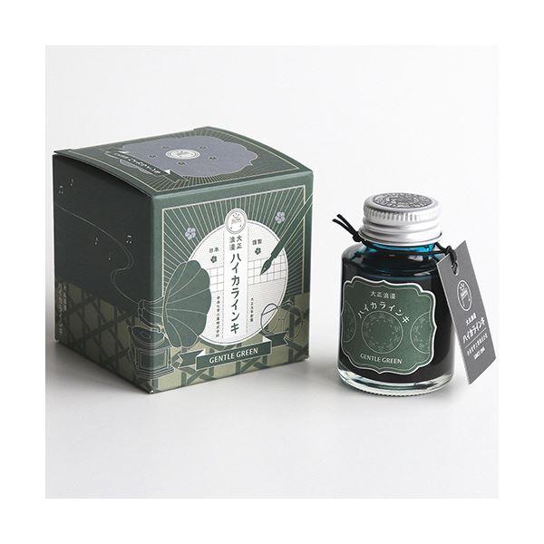 （まとめ） 寺西化学 ギター 大正浪漫ハイカラインキジェントルグリーン 40ml TRH-40ML-T62 1個 〔×5セット〕爆買_1