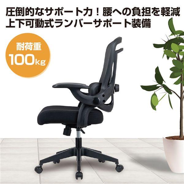 ランバーサポートメッシュチェア ブラック CNN-008-BK 業務用 まとめ買い ポイント消化 日用品_1