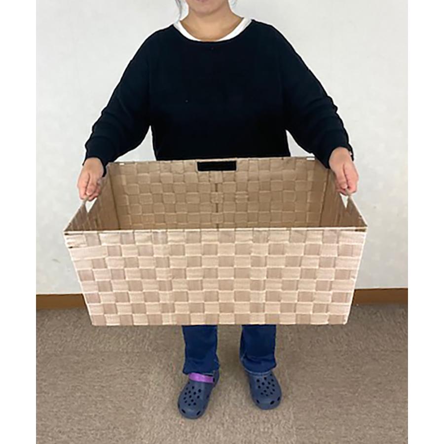 かご 即納可カゴ バスケット 収納 PP 5894G w60 d40 h24cm : VMD