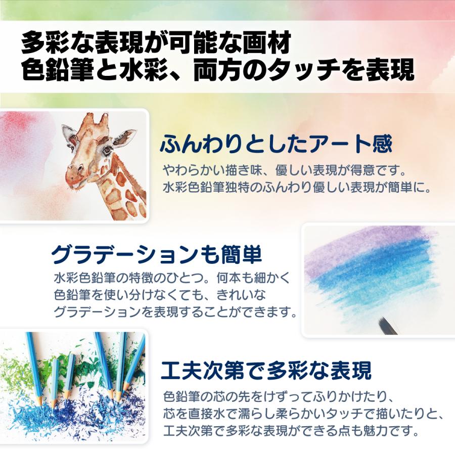 色鉛筆 水彩 48色 48本 セット 色えんぴつ 水彩画 イラスト デッサン スケッチ 初心者 子ども 道具 筆 収納 鉛筆削り Vnn 010 Vnnonlinestore 通販 Yahoo ショッピング