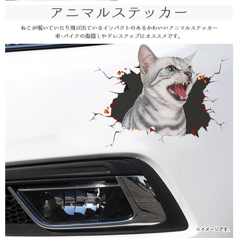 カーステッカー 猫 シール かわいい 動物 アニマル ドレスアップ 車 バイク カー用品 ステッカー カーステッカー 傷隠し Pr Catst02 メール便 送料無料 Pr Catst02 フォーゲル 通販 Yahoo ショッピング