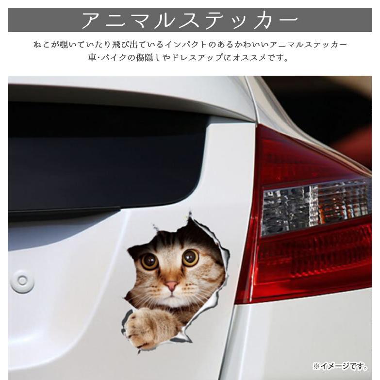 カーステッカー 猫 シール かわいい 動物 アニマル ドレスアップ 車 バイク カー用品 ステッカー カーステッカー 傷隠し Pr Catst03 メール便 送料無料 Pr Catst03 フォーゲル 通販 Yahoo ショッピング