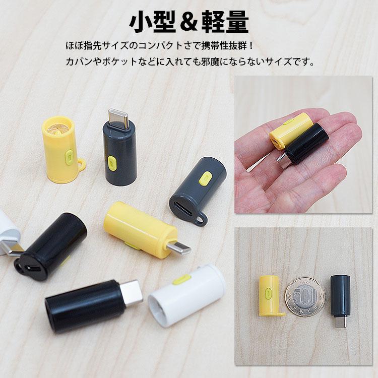 超小型 LEDライト 給電式 2個セット Type-C オス メス 懐中電灯 約210