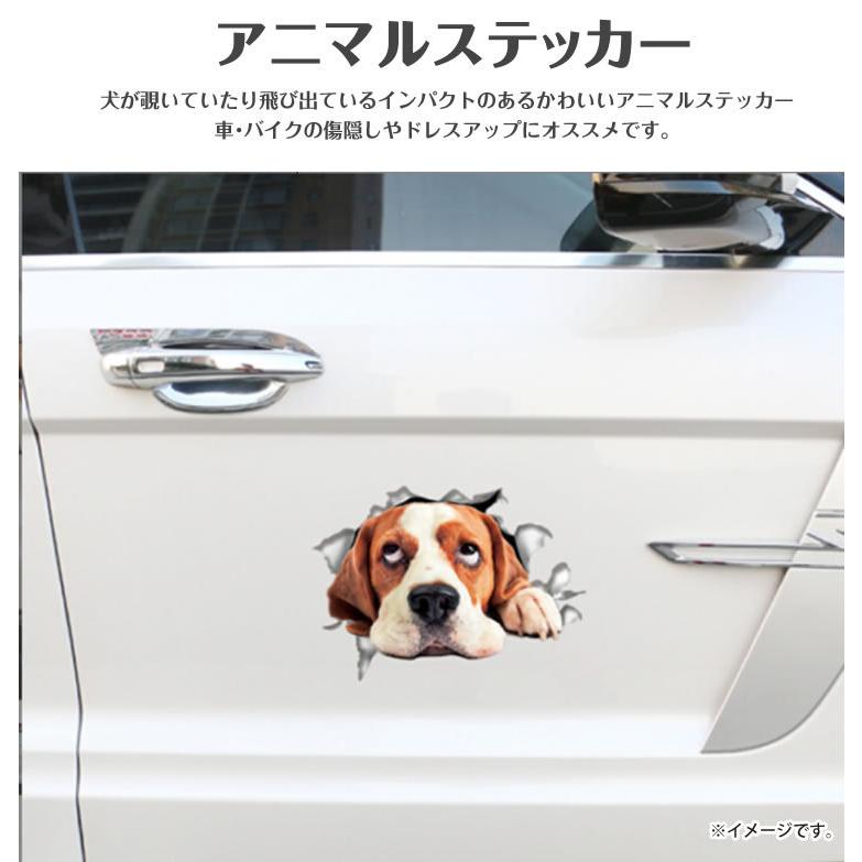 カーステッカー 犬 シール かわいい 動物 アニマル ドレスアップ 車 バイク カー用品 ステッカー カーステッカー 傷隠し いぬ PR-DOGST02【メール便 送料無料】｜vogel｜10