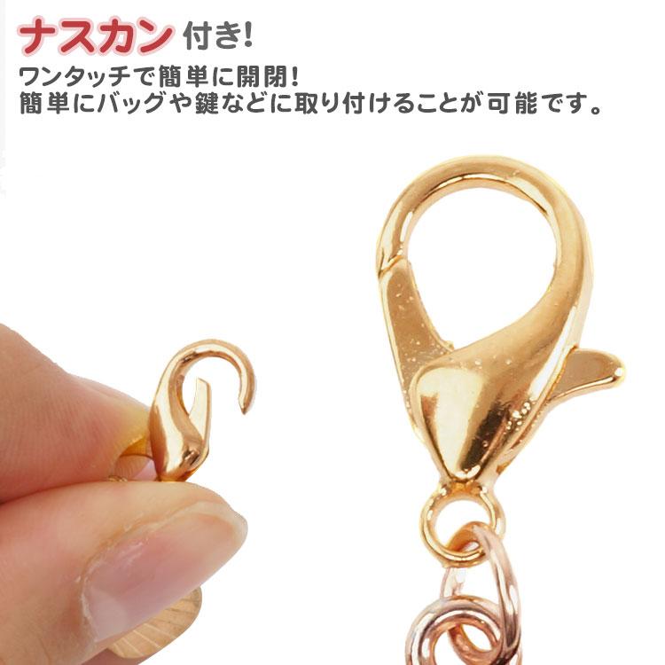 黒猫 チャーム キーホルダー 黒ねこ 猫 6個セット ナスカン ミニサイズ