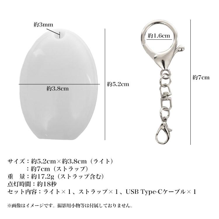 バッグライト バッグチャーム USB充電 オーバル 楕円 小型 ライト LED
