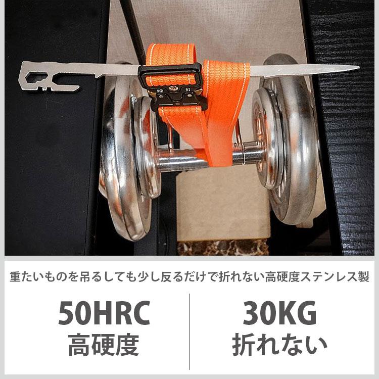 ペグ ステンレススチール 6本セット 28cm 薄型ペグ カラビナ付属 高