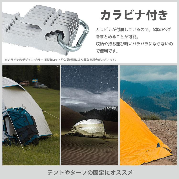 ペグ ステンレススチール 6本セット 28cm 薄型ペグ カラビナ付属 高