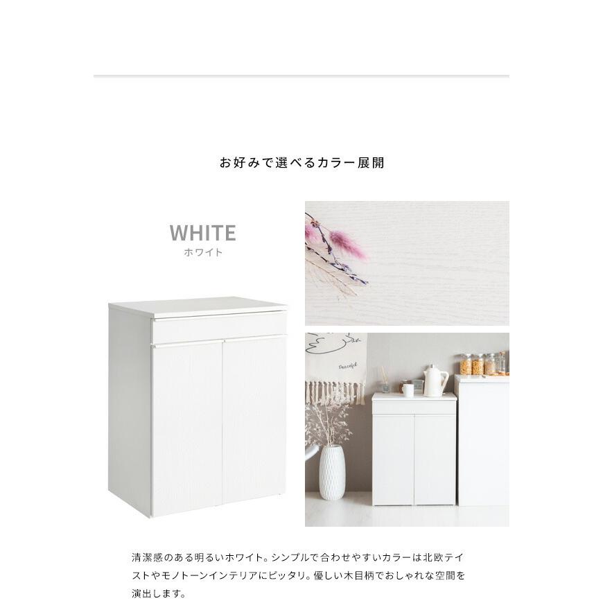ゴミ箱 ごみ箱 ダストボックス 分別 45L 幅60cm 高さ80cm キャスター