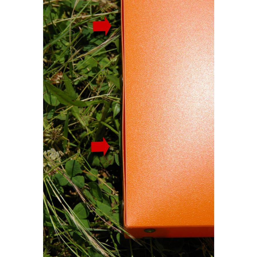 図面バッグ 図面ケース A3サイズ 書類バッグ かばん カバン ブリーフケースThoth（トト）Thoth　【クリアピンク】 |  | 05