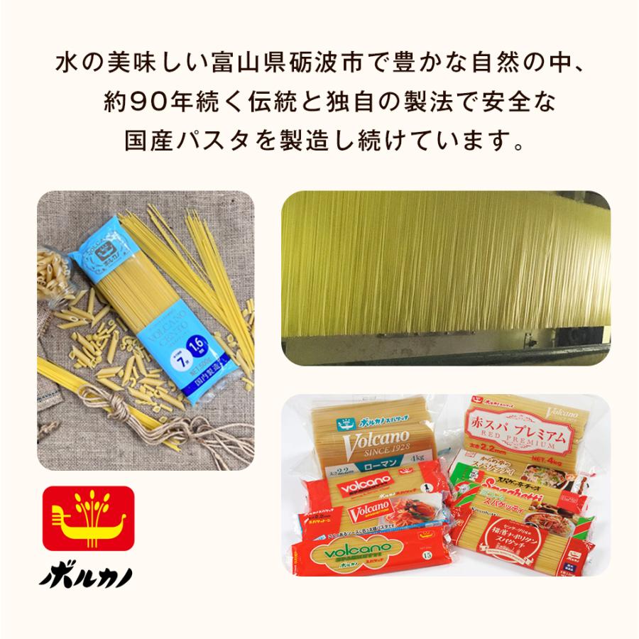 ボルカノ（VOLCANO） パスタファミリー 1.7mm 300g 家庭用 パスタ