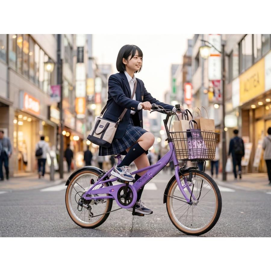 sanrio（サンリオ） クロミ BAA基準適合車 自転車 ミニベロ 20インチ 6