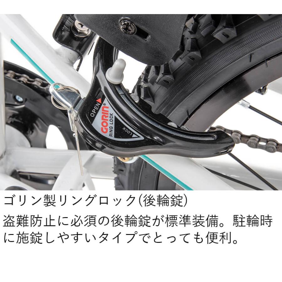 NEXTYLE 子供用自転車 ジュニアマウンテンバイク MTB 24インチ シマノ